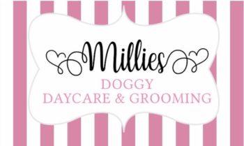 Millie's Doggy Day Spa